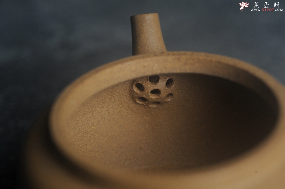 紫砂壶图片：美壶特惠全手工紫砂壶特好段泥桑扁壶 茶壶 茶具 单壶 - 全手工紫砂壶网
