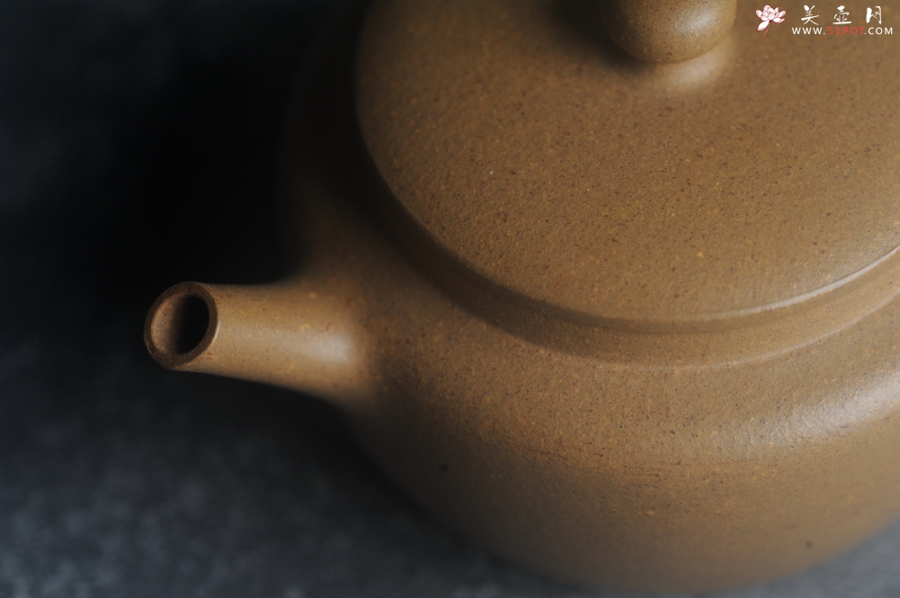 紫砂壶图片：美壶特惠全手工紫砂壶特好段泥桑扁壶 茶壶 茶具 单壶 - 全手工紫砂壶网