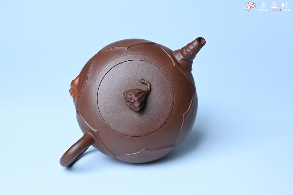 紫砂壶图片：美壶特惠 贴花活灵活现 精致荷花壶 茶人醉爱 - 全手工紫砂壶网