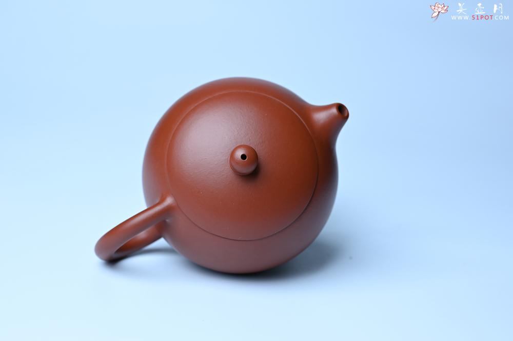 紫砂壶图片：美壶特惠 油润大红袍朱泥 小品西施壶 茶人醉爱 - 全手工紫砂壶网