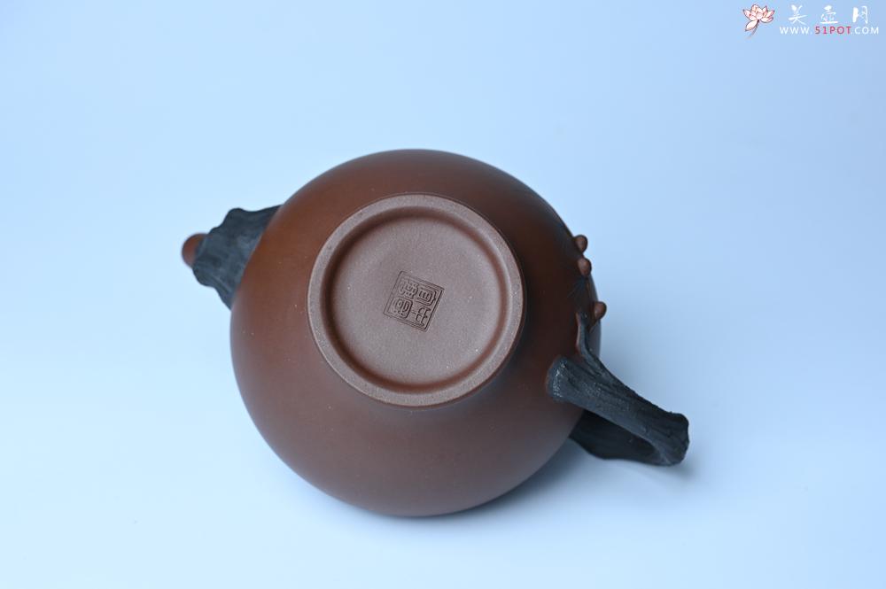 紫砂壶图片：美壶特惠 精致报春系列之松报春壶 - 全手工紫砂壶网