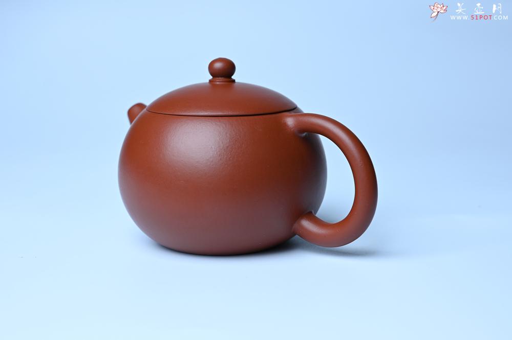 紫砂壶图片：美壶特惠 油润大红袍朱泥 小品西施壶 茶人醉爱 - 全手工紫砂壶网