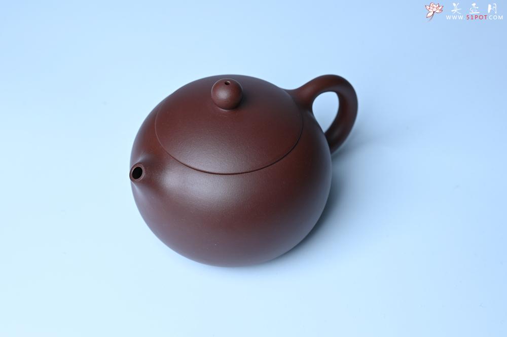 紫砂壶图片：美壶福利特惠 精工西施 泥料优秀 - 全手工紫砂壶网